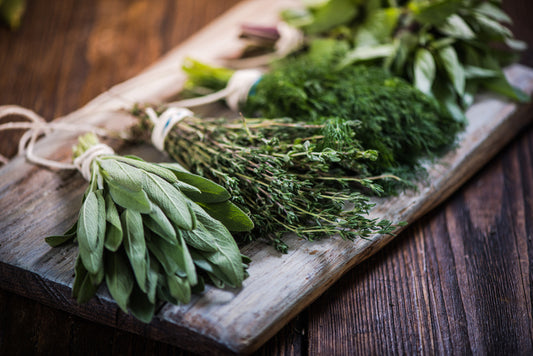 Starting an Herb Garden